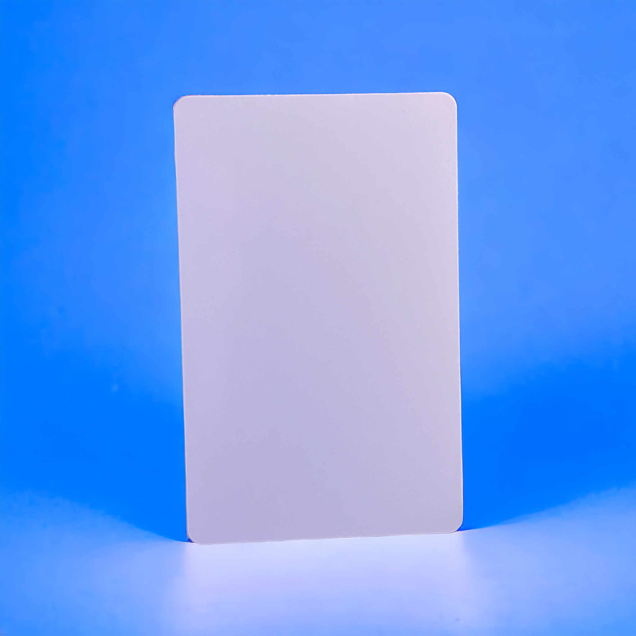 Digital Business Card